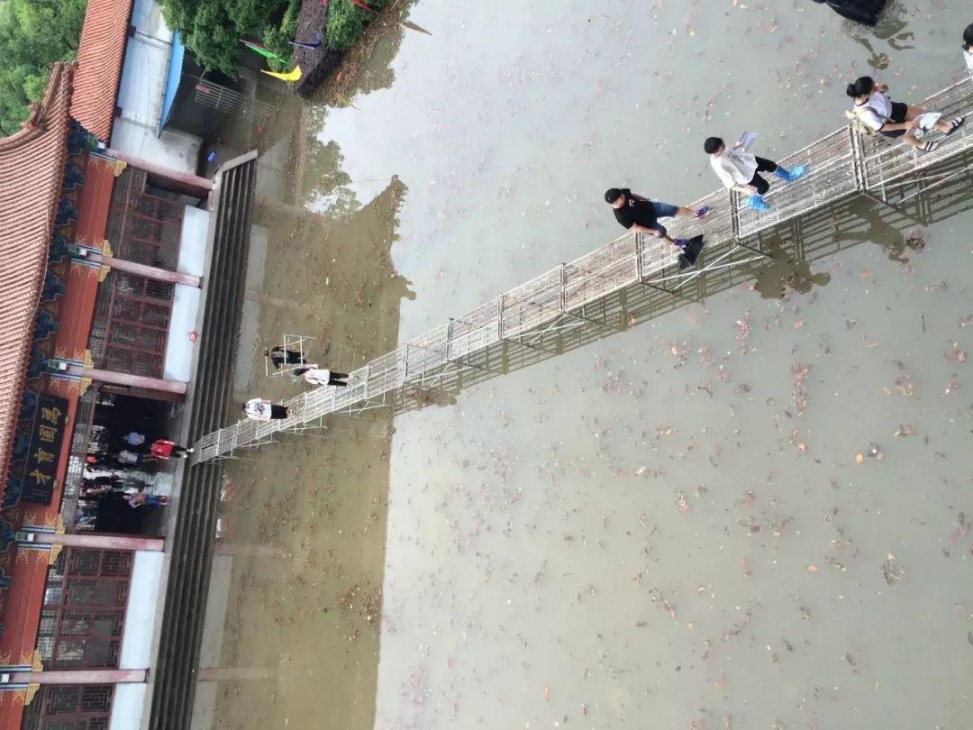 课桌下的秘密，高效学习新技能与任务完成指南