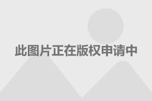 新年最新歌曲，寻找、欣赏与分享的指南