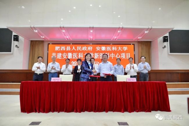 安医大曹云霞最新消息及获取步骤指南（初学者与进阶用户适用）