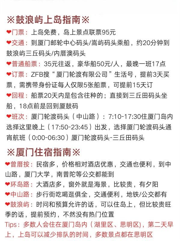 厦门进岛最新动态更新，最新消息汇总