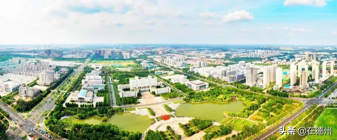 南京东方兰园最新动态及花开盛况更新🌸🌼