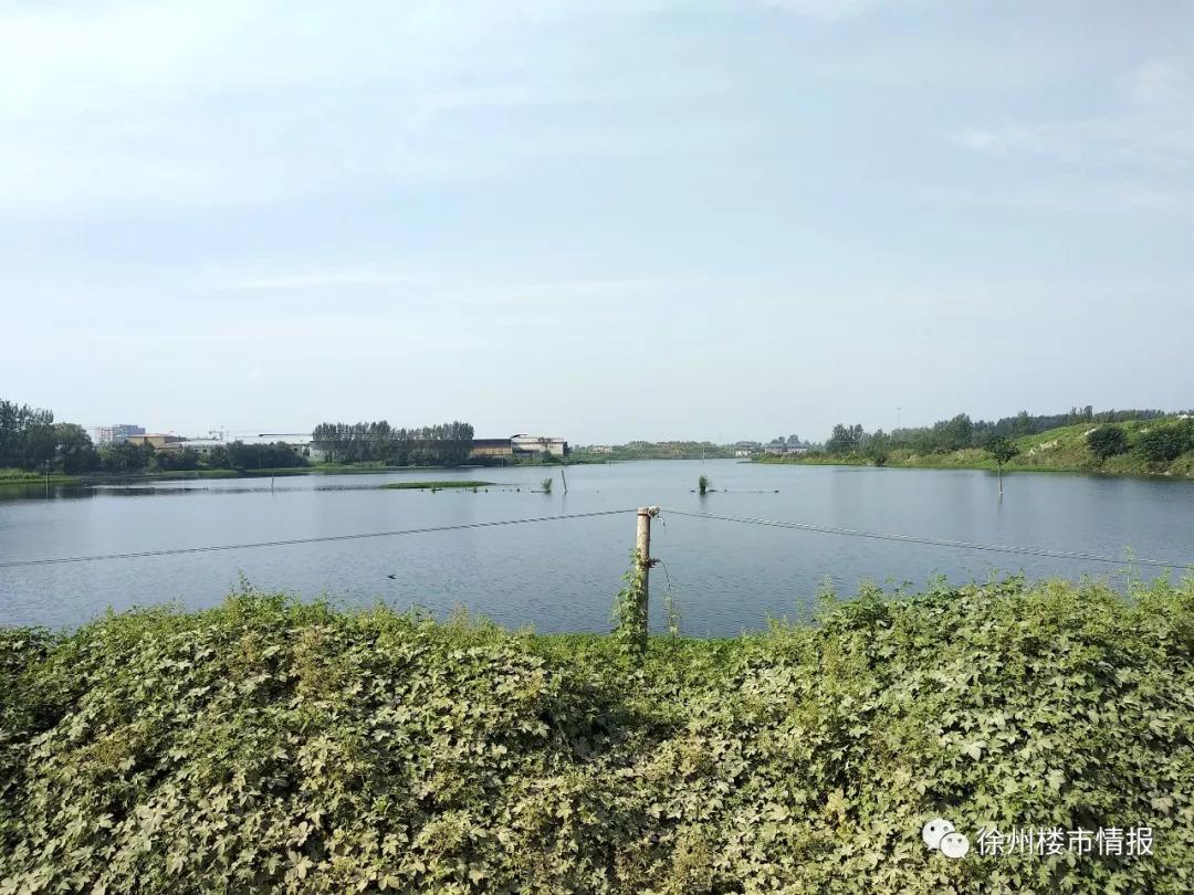 徐州泉润公园最新动态更新