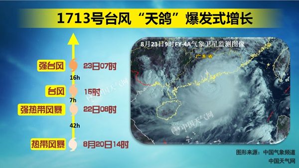天鸽最新消息，科技重塑生活，引领未来新动向