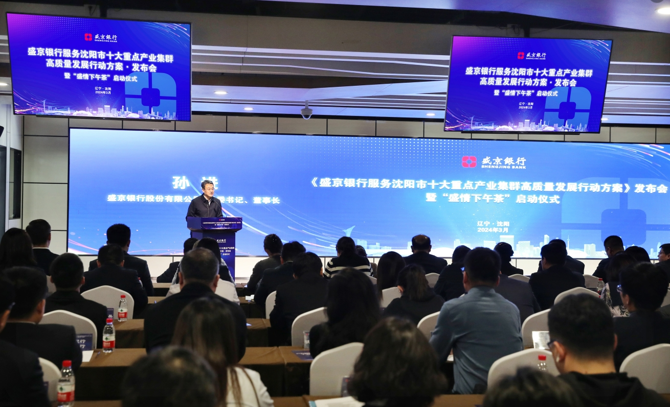 沈阳振兴银行最新进展详解，观点阐述与解析