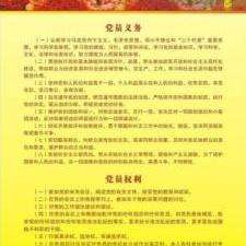 深入解读与探讨，最新党员的权利与义务详解