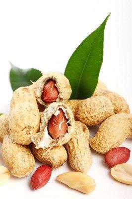 全国花生米最新价格指南，获取与理解步骤详解